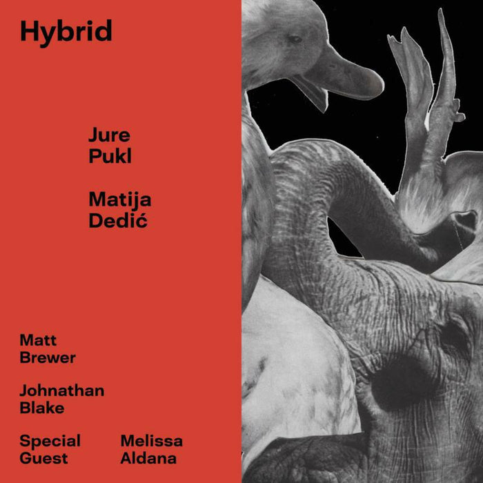 Jure Pukl & Matija Dedic: Hybrid