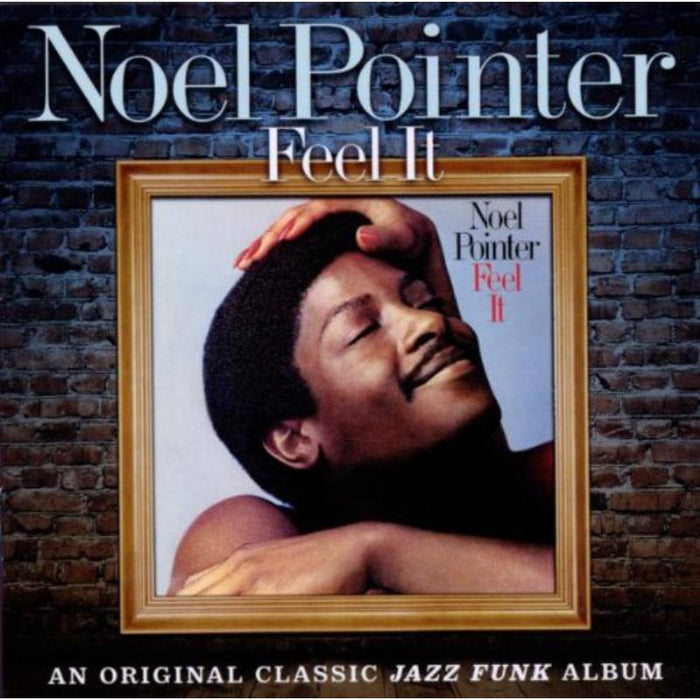 Noel Pointer: Feel It