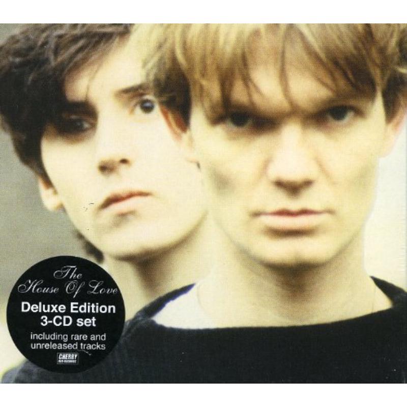 5013929154537.jpg?v=1677058516