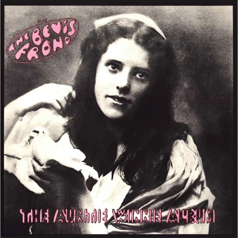 The Bevis Frond: The Auntie Winnie Album