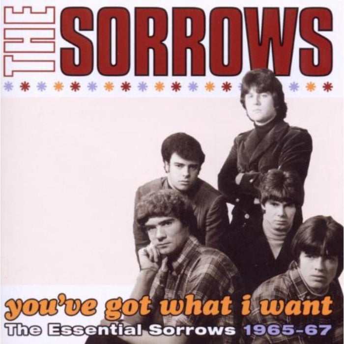 The Sorrows: Youve Got What I Want - The Essential Sorrows 1965-67