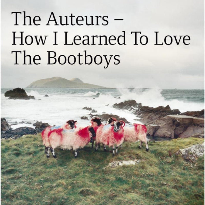 The Auteurs: How I Learned To Love The Bootboys (2CD Expanded Edition)