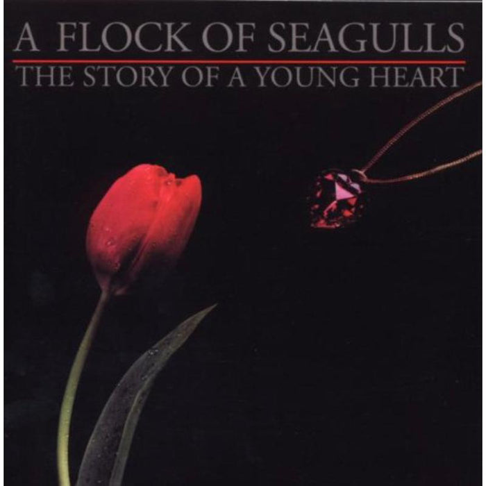 A Flock Of Seagulls: The Story Of A Young Heart