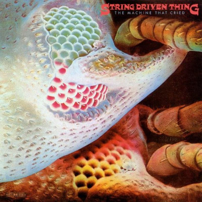 String Driven Thing: The Machine That Cried
