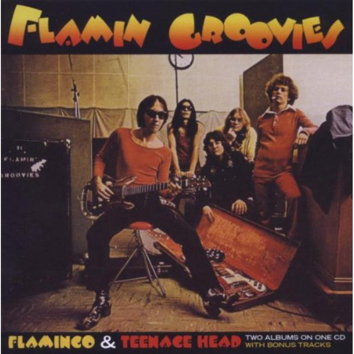 Flamin Groovies: Flamingo / Teenage Head