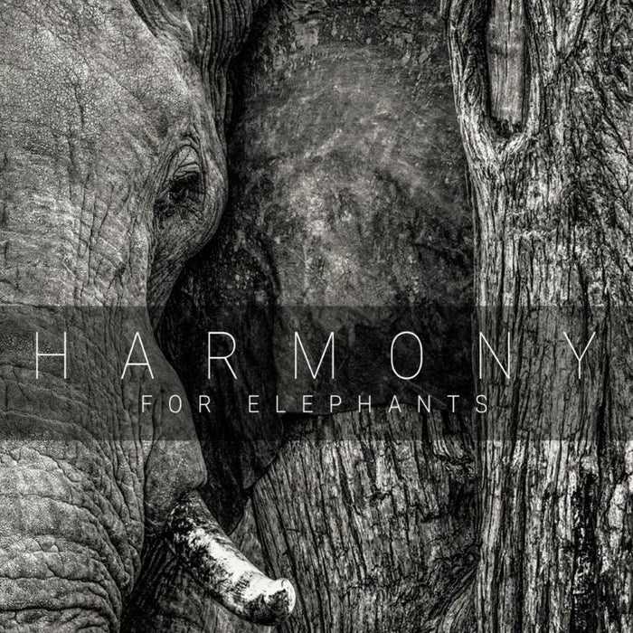 Various Artists: Harmony For Elephants