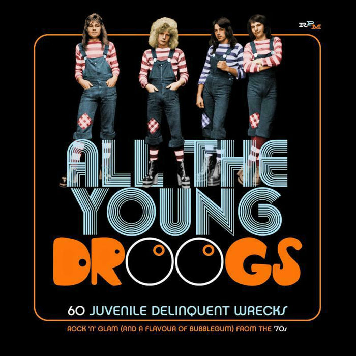 Various Artists: All The Young Droogs: 60 Juvenile Delinquent Wrecks