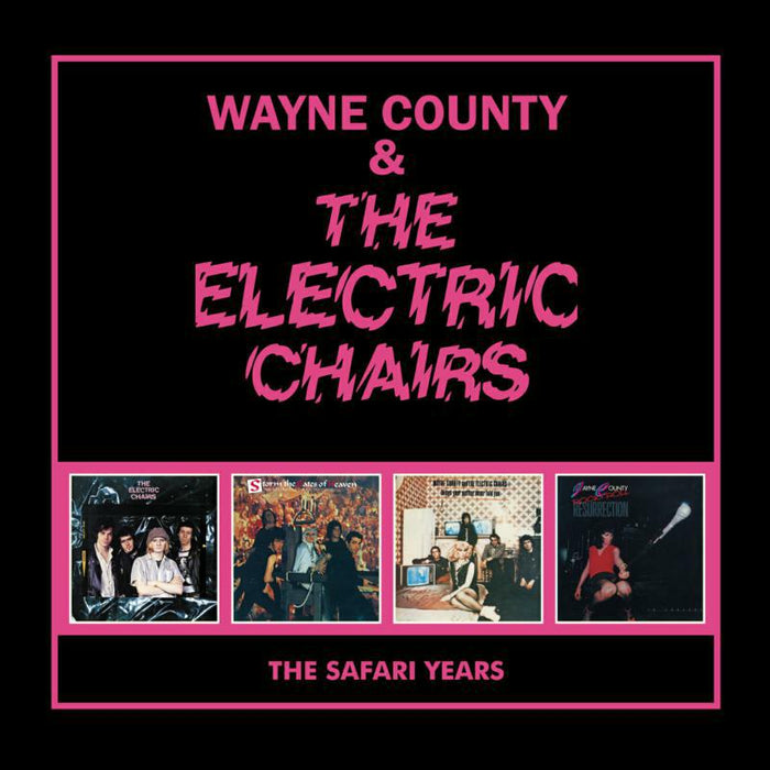 Wayne County & The Electric Chairs: The Safari Years: 4CD Capacity Wallet