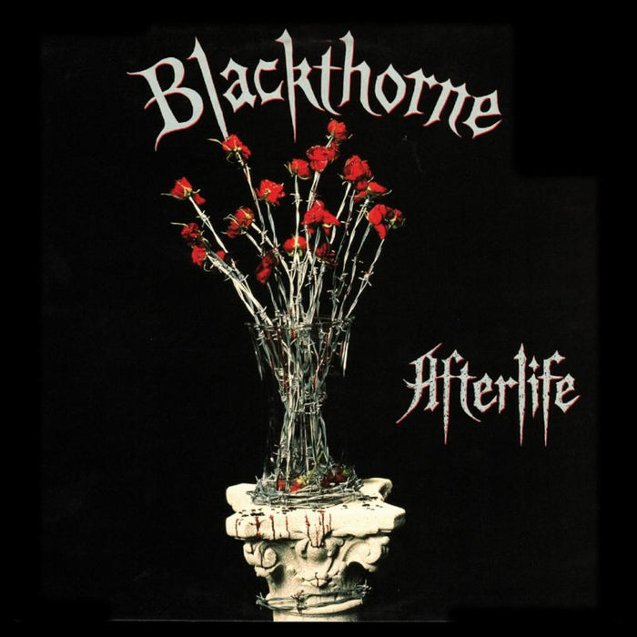 Blackthorne: Afterlife