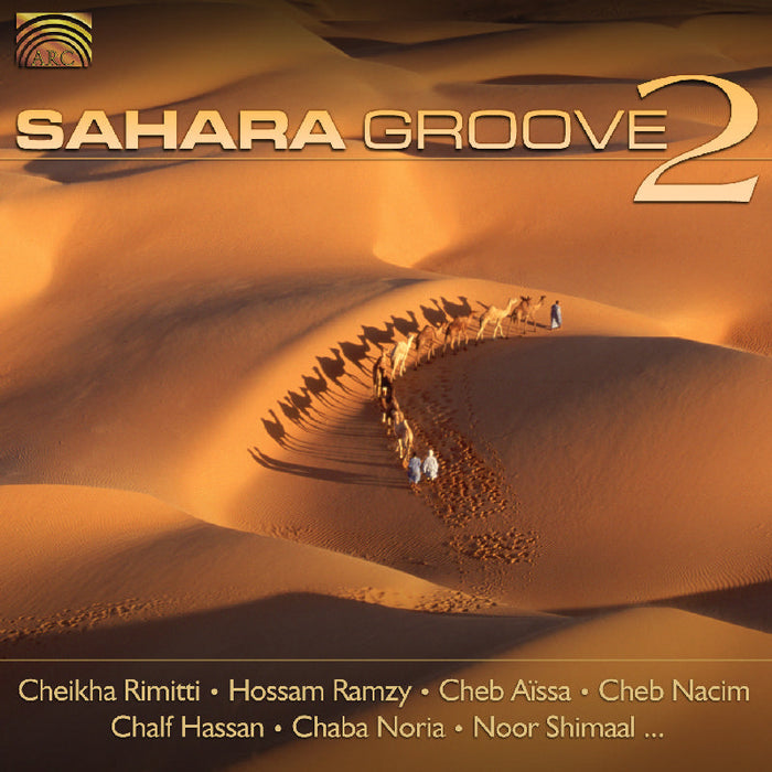 Various Artists: Sahara Groove 2