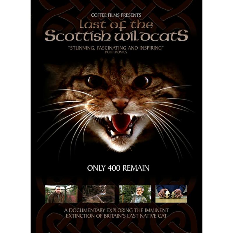 Various Artists: Last Of The Scottish Wildcats