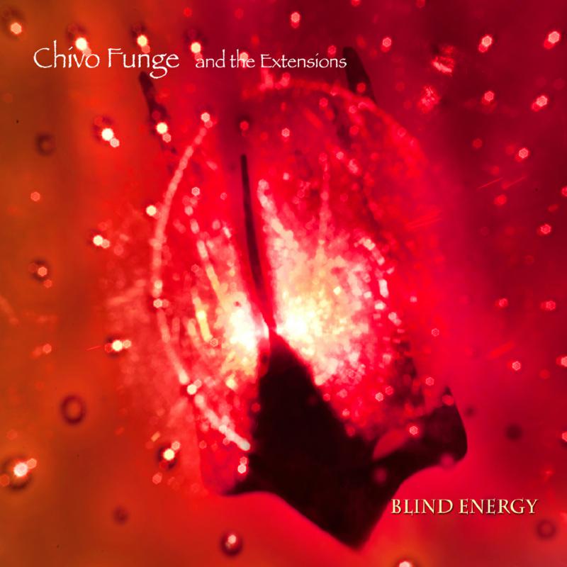 Chivo Funge And The Extensions: Blind Energy