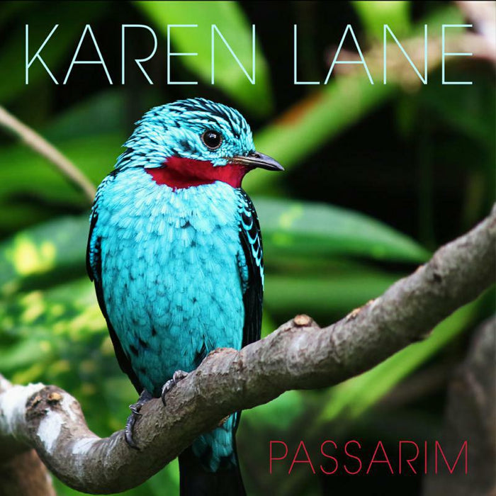 Karen Lane: Passarim