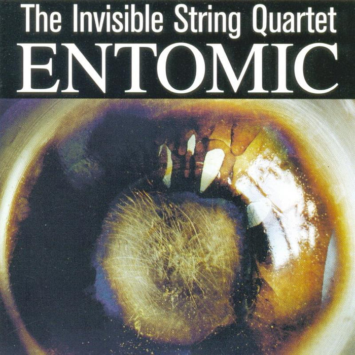 The Invisible String Quartet: Entomic