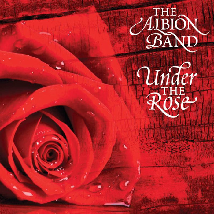 The Albion Band: Under The Rose