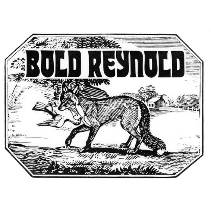 David Carroll and Friends: Bold Reynold