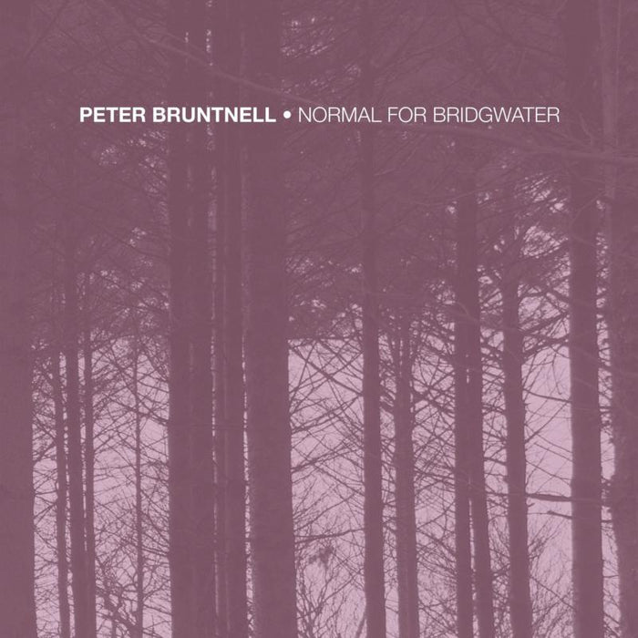 Peter Bruntnell: Normal For Bridgwater (Ltd RSD 2020 LP)