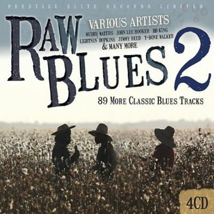 Various Artists: Raw Blues Vol 2