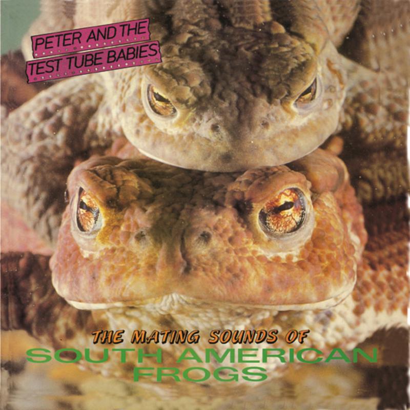 Peter And The Test Tube Babies: The Mating Sounds Of South American Frogs