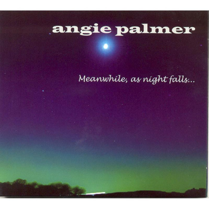 Angie Palmer: Meanwhile, As Night Falls...