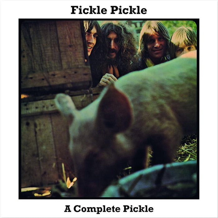 Fickle Pickle: A Complete Pickle