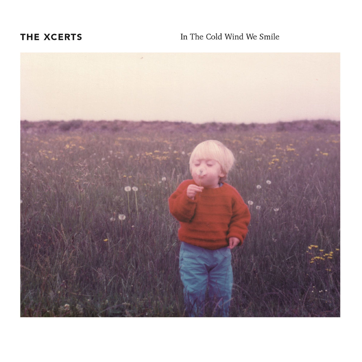 The Xcerts: In The Cold Wind We Smile (Vinyl)