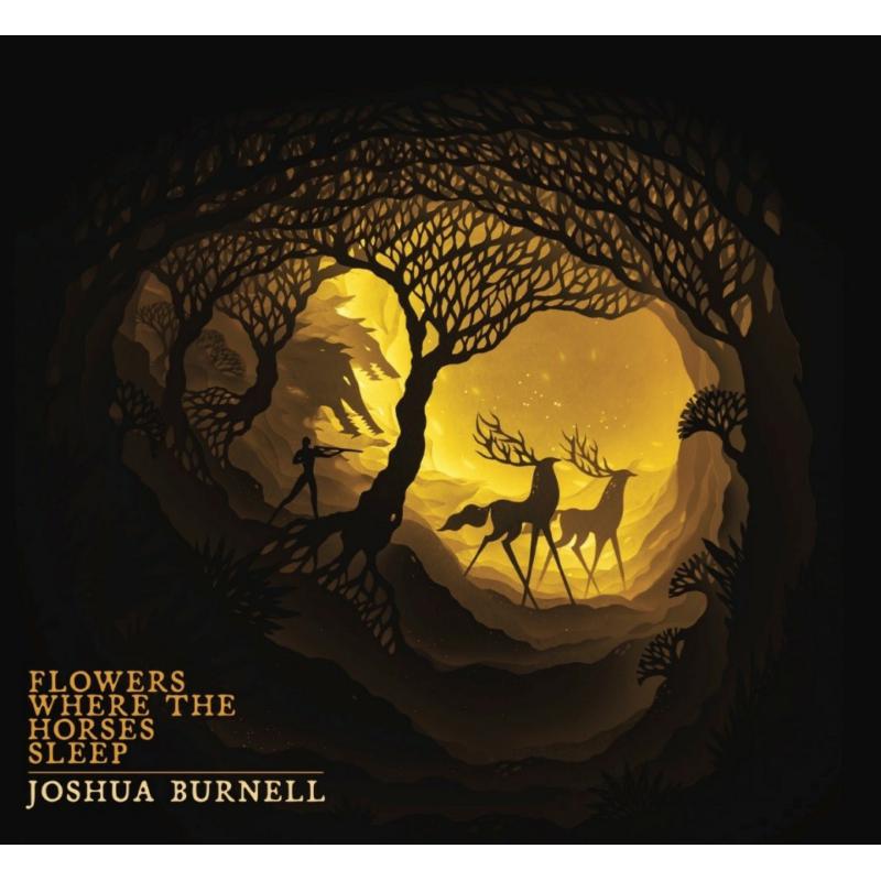 Joshua Burnell: Flowers Where The Horses Sleep