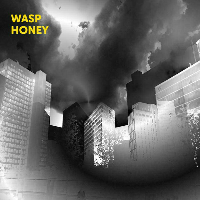 Martin Archer, John Jasnoch, Sarah Farmer & Lee Boyd Allatson: Wasp Honey