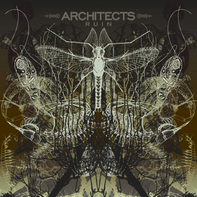 Architects: Ruin