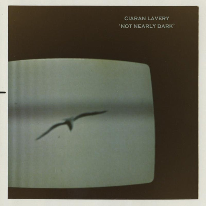 Ciaran Lavery: Not Nearly Dark