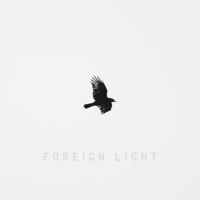 Toddla T: Foreign Light