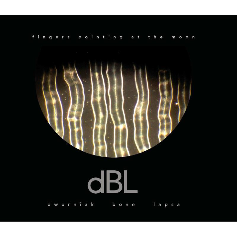Dworniak Bone Lapsa - Fingers Pointing At The Moon, Vinyl LP Dworniak Bone Lapsa - Fingers Pointing At The Moon, Vinyl LP