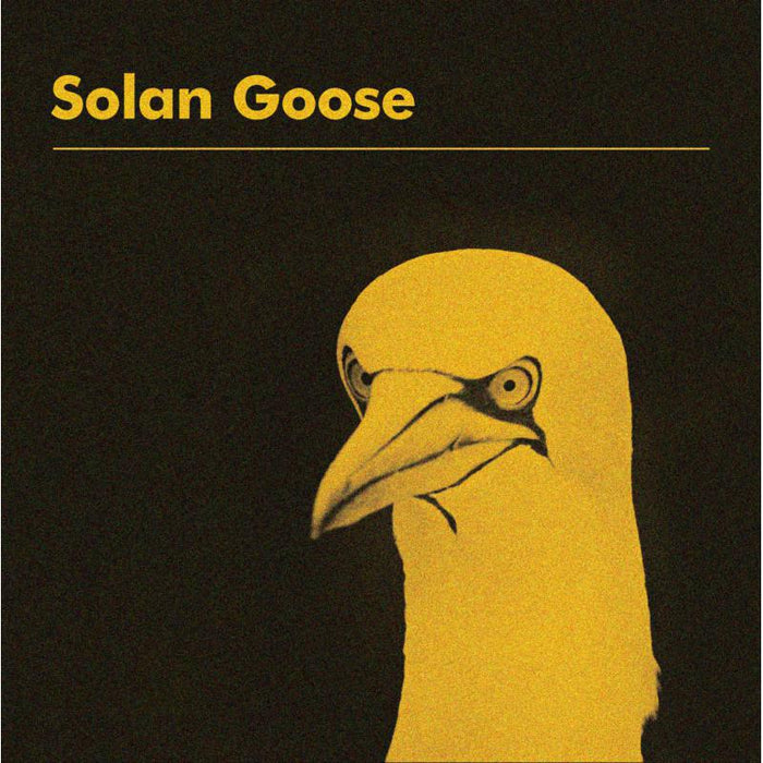 Erland Cooper: Solan Goose