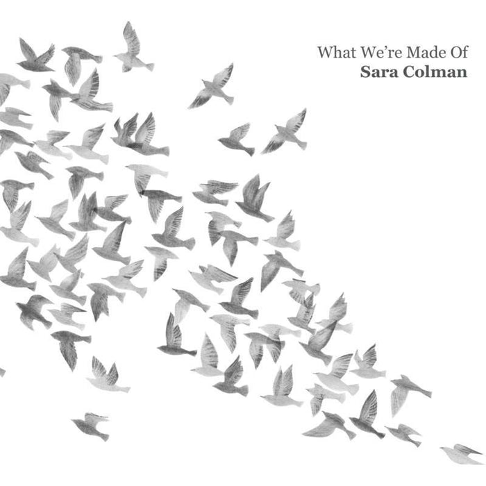 Sara Colman: What We're Made Of