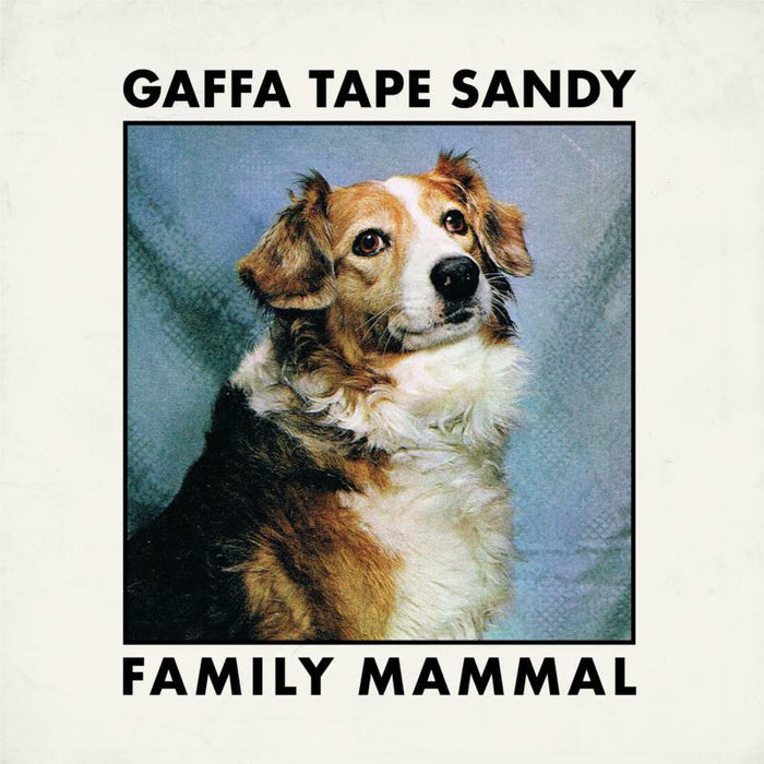 Gaffa Tape Sandy: Family Mammal