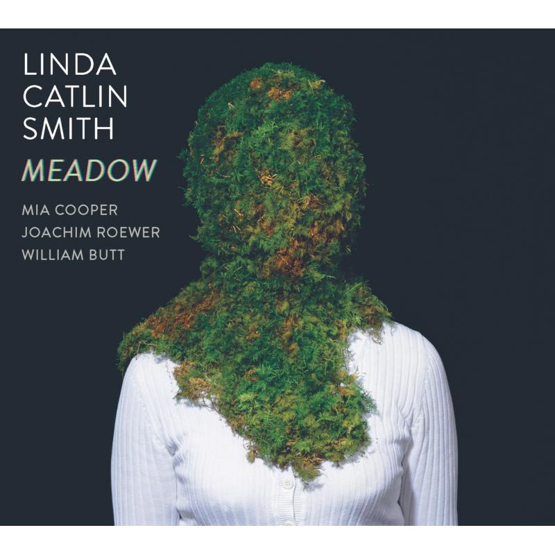 Linda Catlin Smith: Meadow