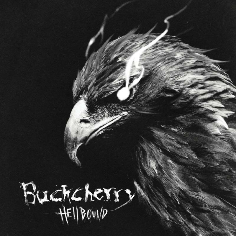 Buckcherry: Vol. 10 – Proper Music