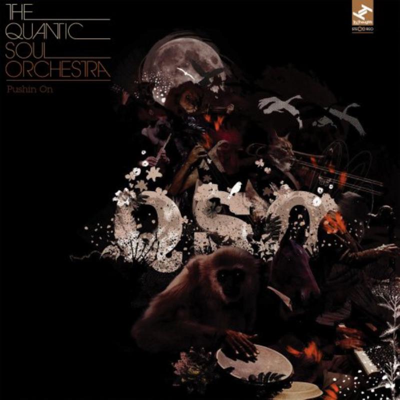 Quantic Soul Orchestra: Pushing On