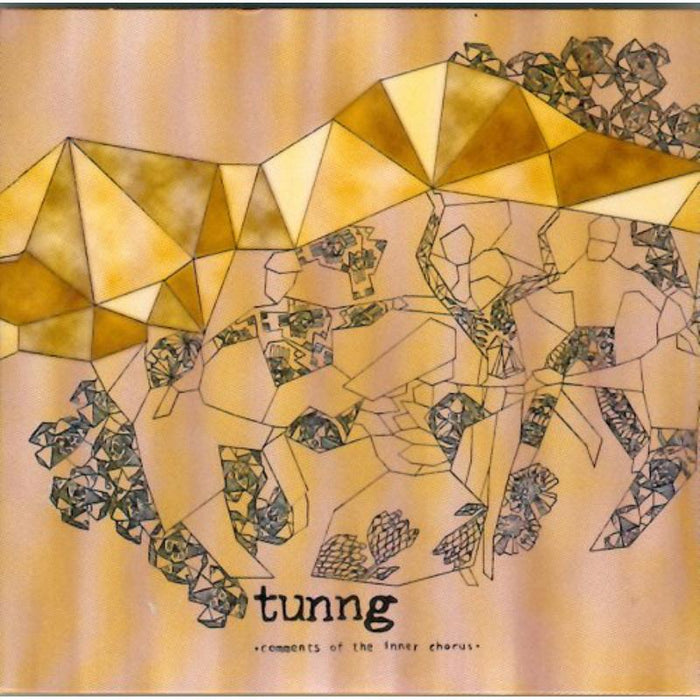 Tunng: Comments Of The Inner Chorus
