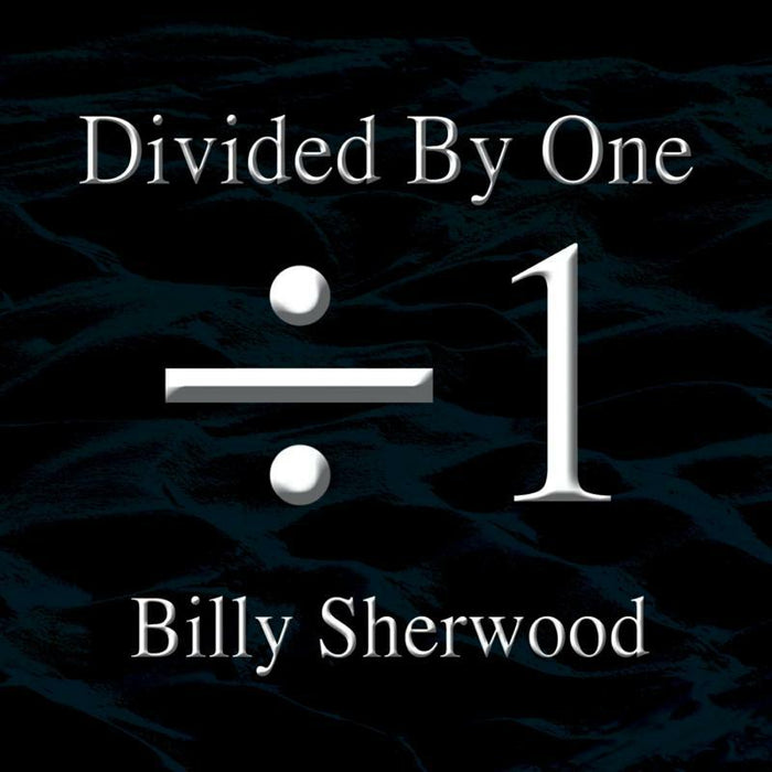 Billy Sherwood: Divided By One