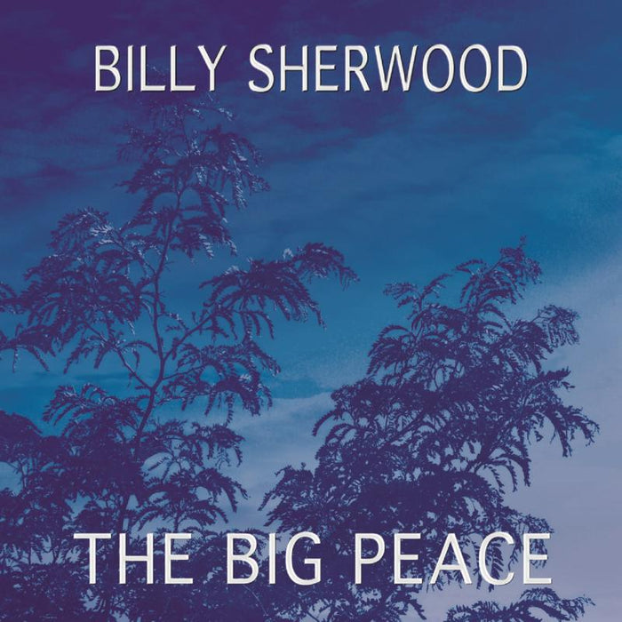 Billy Sherwood: The Big Peace