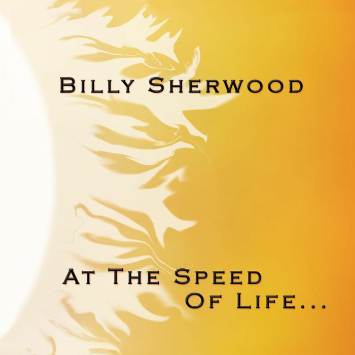 Billy Sherwood: At The Speed Of Life
