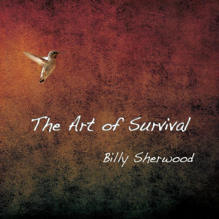 Billy Sherwood: The Art Of Survival
