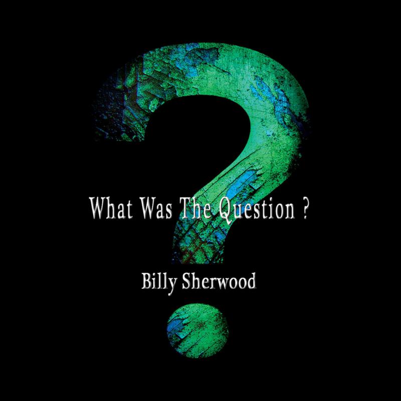 Billy Sherwood: What Was The Question?