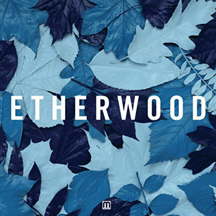 Etherwood: Blue Leaves