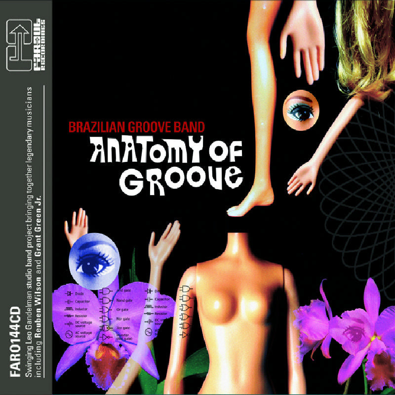 Brazilian Groove Band: Anatomy of Groove