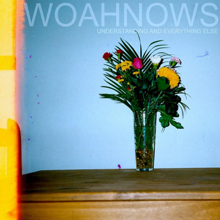 Woahnows: Understanding and Everything Else