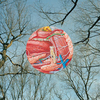 They Might Be Giants: Glean