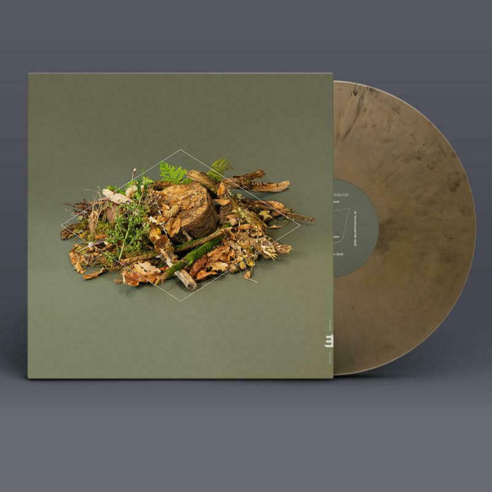 Fergus McCreadie: Forest Floor (Skull Gold Vinyl) (LP)