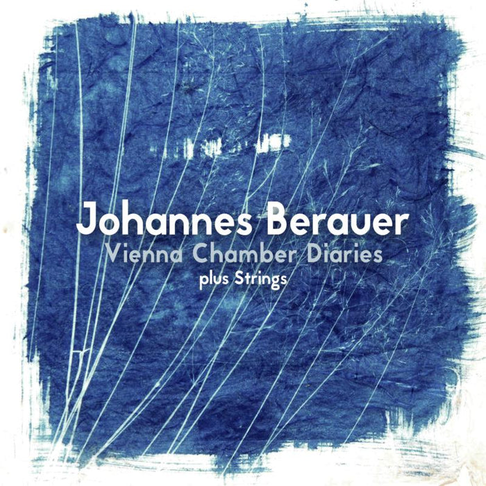 Johannes Berauer: Vienna Chamber Diaries Plus Strings